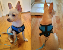 Soft Breathable Air Harness and Leash Set
