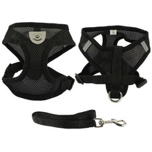 Soft Breathable Air Harness and Leash Set