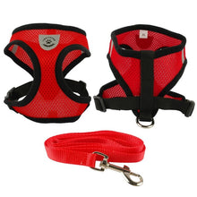 Soft Breathable Air Harness and Leash Set