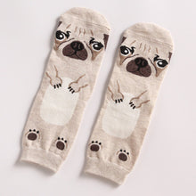 *LIMITED STOCK* Cute Dog Socks (Doberman, Corgi, Dachshund, Husky, Schnauzer)
