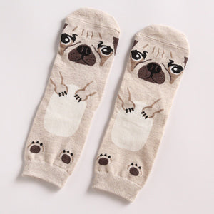 *LIMITED STOCK* Cute Dog Socks (Doberman, Corgi, Dachshund, Husky, Schnauzer)