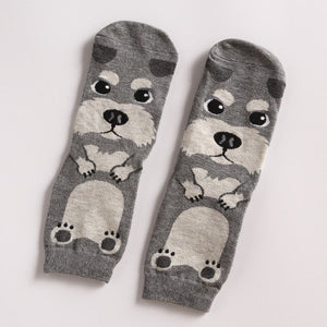*LIMITED STOCK* Cute Dog Socks (Doberman, Corgi, Dachshund, Husky, Schnauzer)