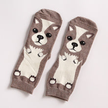 *LIMITED STOCK* Cute Dog Socks (Doberman, Corgi, Dachshund, Husky, Schnauzer)