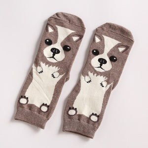 *LIMITED STOCK* Cute Dog Socks (Doberman, Corgi, Dachshund, Husky, Schnauzer)