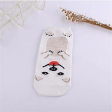 *LIMITED STOCK* Cute Dog Socks (Doberman, Corgi, Dachshund, Husky, Schnauzer)