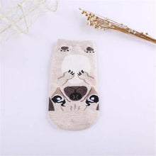 *LIMITED STOCK* Cute Dog Socks (Doberman, Corgi, Dachshund, Husky, Schnauzer)
