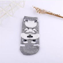 *LIMITED STOCK* Cute Dog Socks (Doberman, Corgi, Dachshund, Husky, Schnauzer)