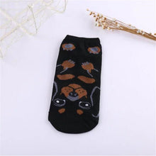 *LIMITED STOCK* Cute Dog Socks (Doberman, Corgi, Dachshund, Husky, Schnauzer)
