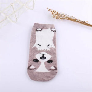 *LIMITED STOCK* Cute Dog Socks (Doberman, Corgi, Dachshund, Husky, Schnauzer)