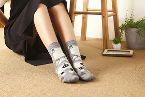 *LIMITED STOCK* Cute Dog Socks (Doberman, Corgi, Dachshund, Husky, Schnauzer)