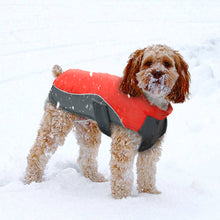 Waterproof Dog Winter Coat Jacket