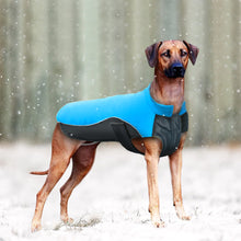 Waterproof Dog Winter Coat Jacket